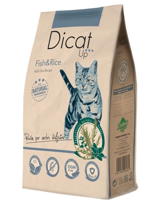 Dicat Up Fish & Rice 