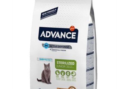 Advance Cat Young Sterilized