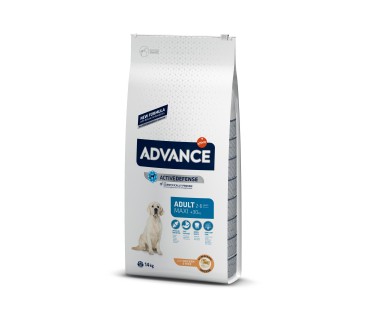 Advance Maxi Adult Chicken&Rice